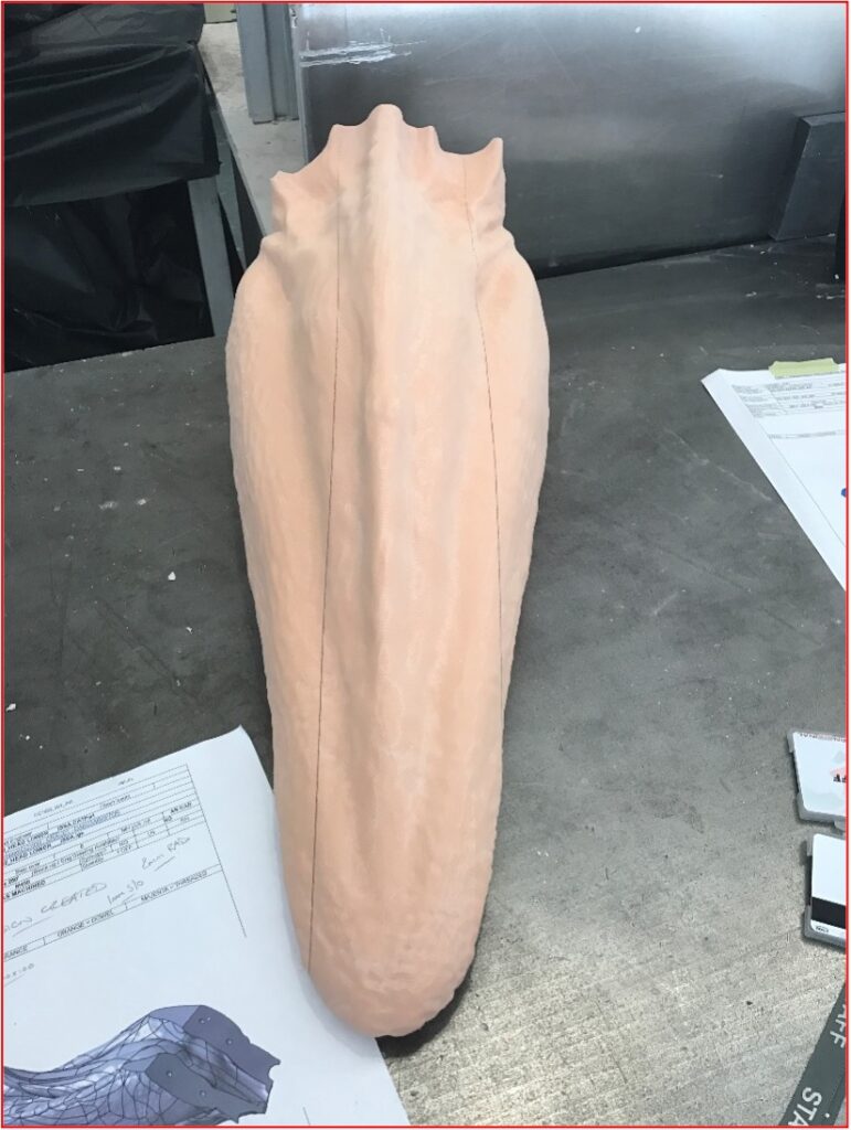 Bottom of the jaw Dakotaraptor