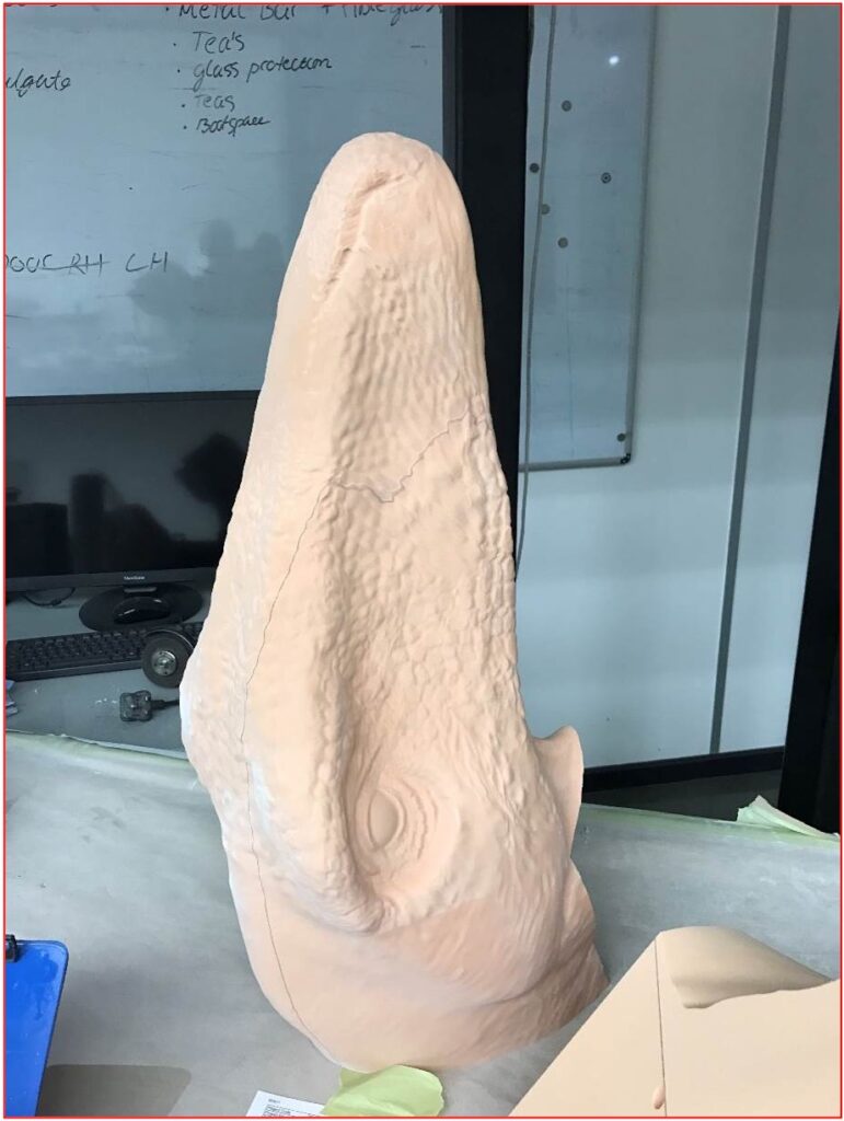 Dakotaraptor Head