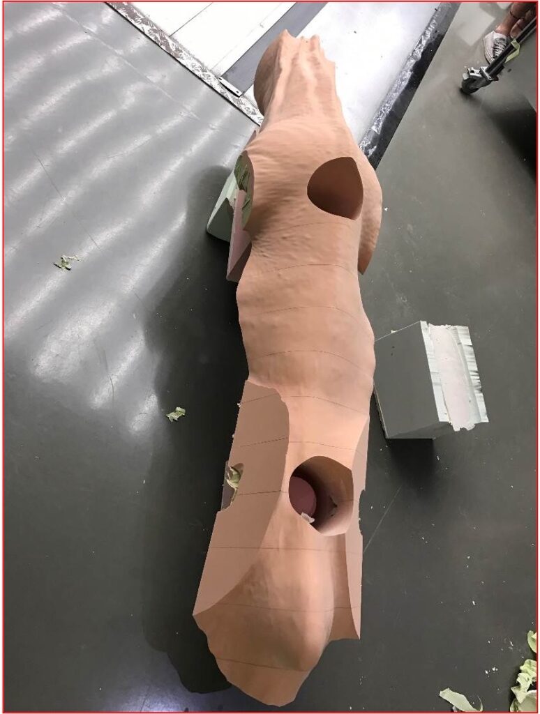 Dakotaraptor body side view