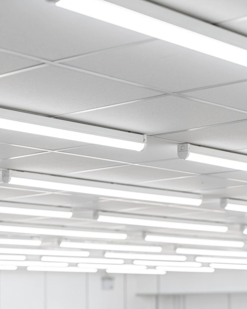 Earth Day How Envisage are reducing our impact-17